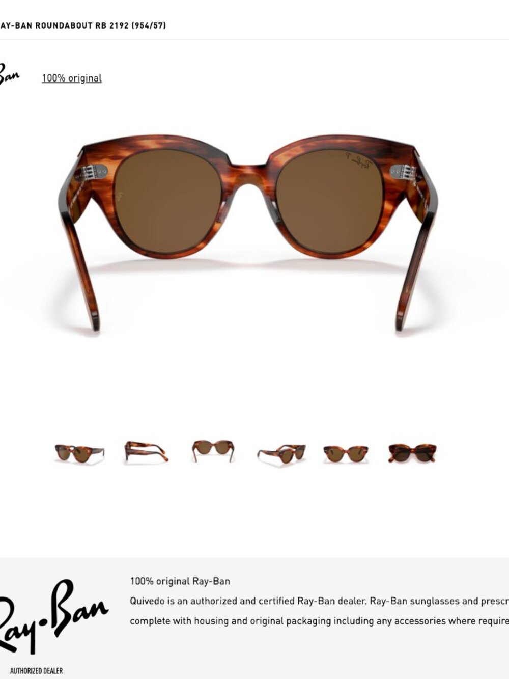 Havana Brown Ray-Ban Roundabout Polarized Sunglasses - Oversized Eyewear Glasses - Picture 3 of 17